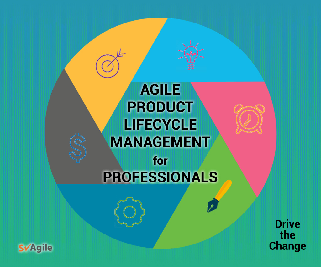 Agile Product Life-Cycle Management for Professionals