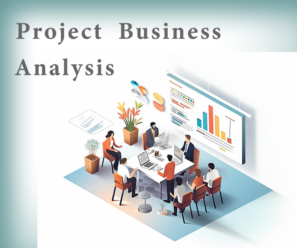 Project Business Analysis